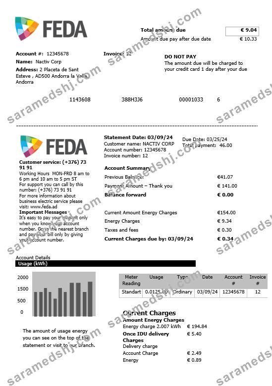 Andorra Electric Forces of Andorra business utility bill template in Word and PDF formats